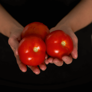 Hortiherttuan puutarhuri pitää kädessään isoja punaisia tomaatteja